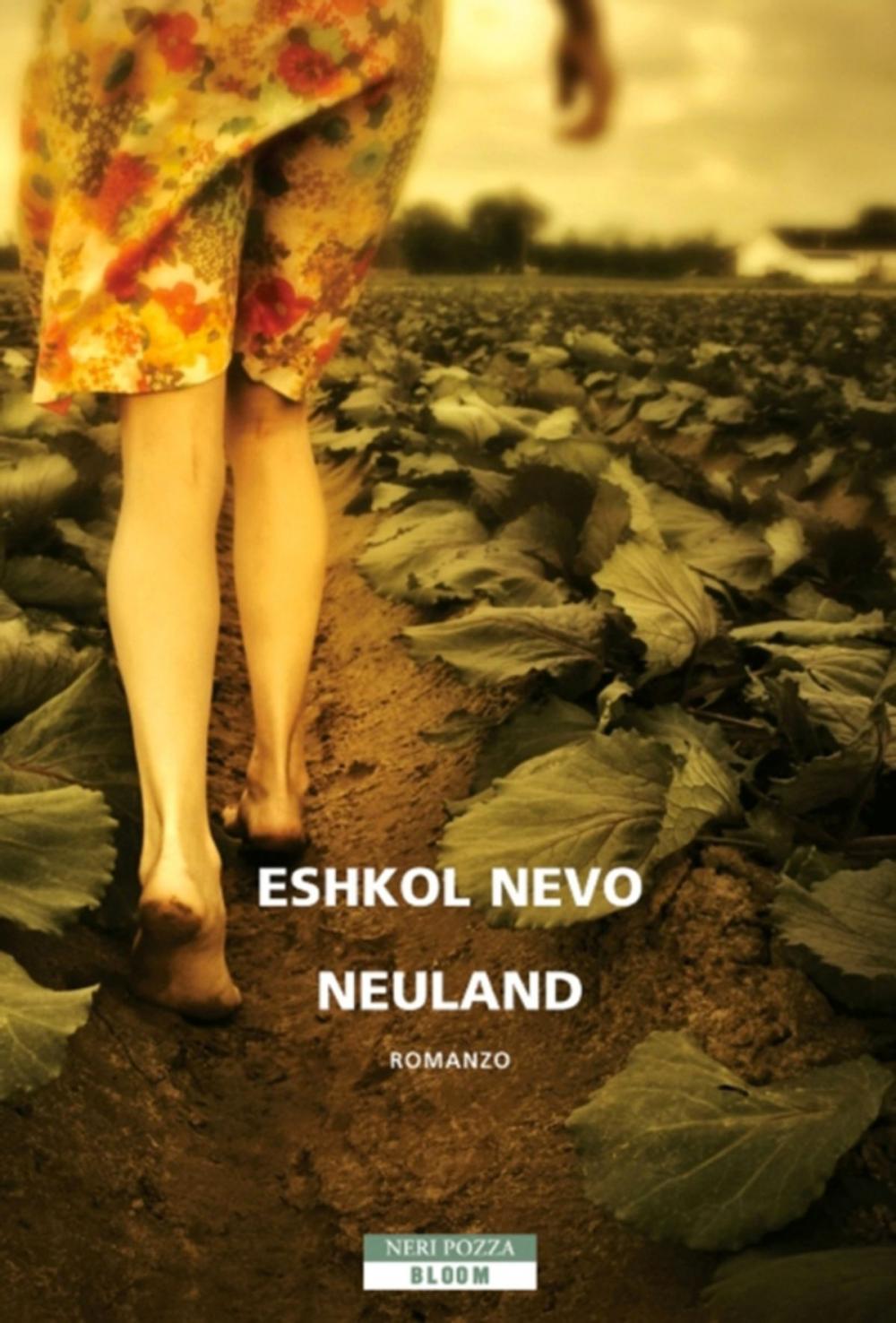 Big bigCover of Neuland