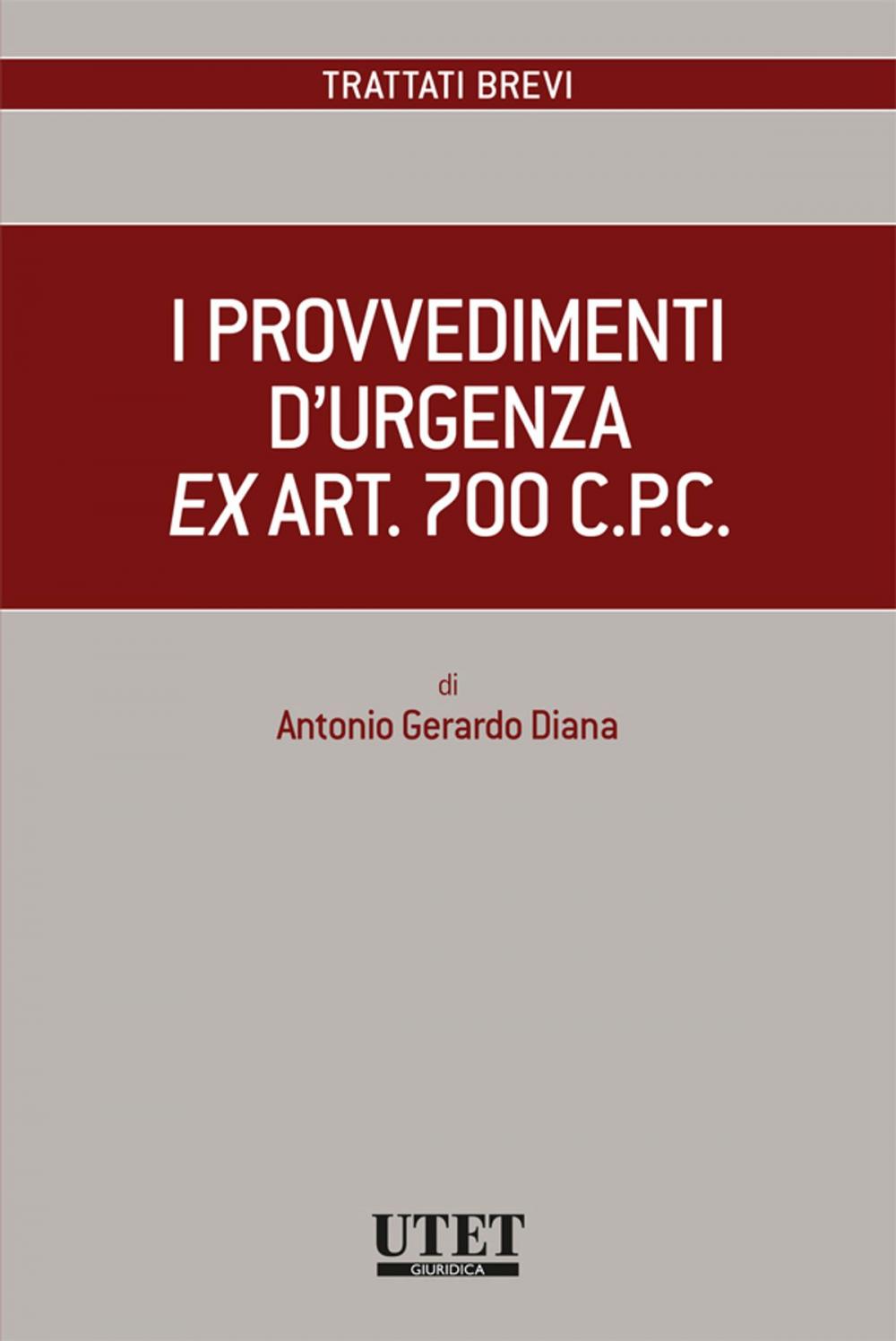 Big bigCover of I provvedimenti d'urgenza ex art. 700 c.p.c.