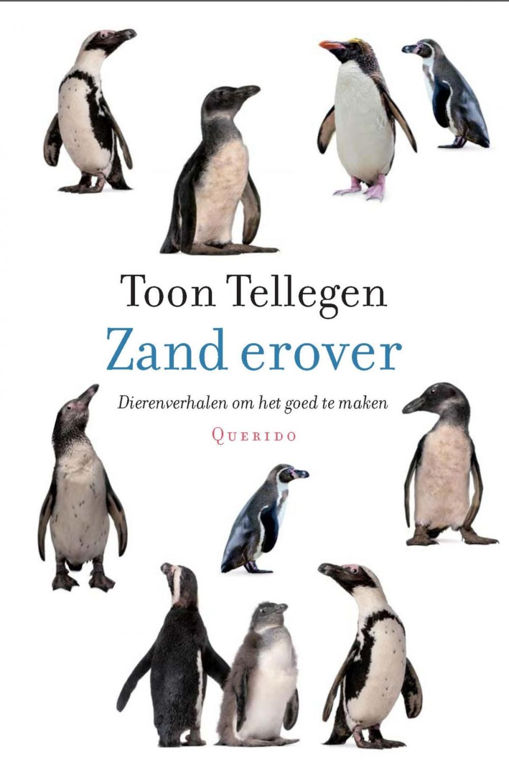 Big bigCover of Zand erover