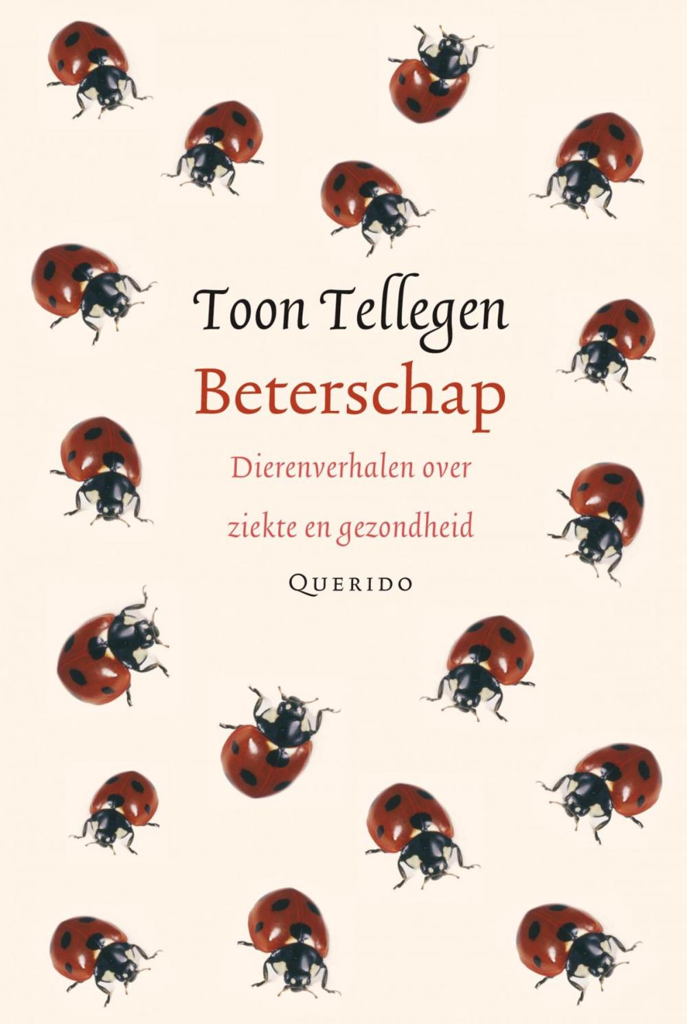 Big bigCover of Beterschap