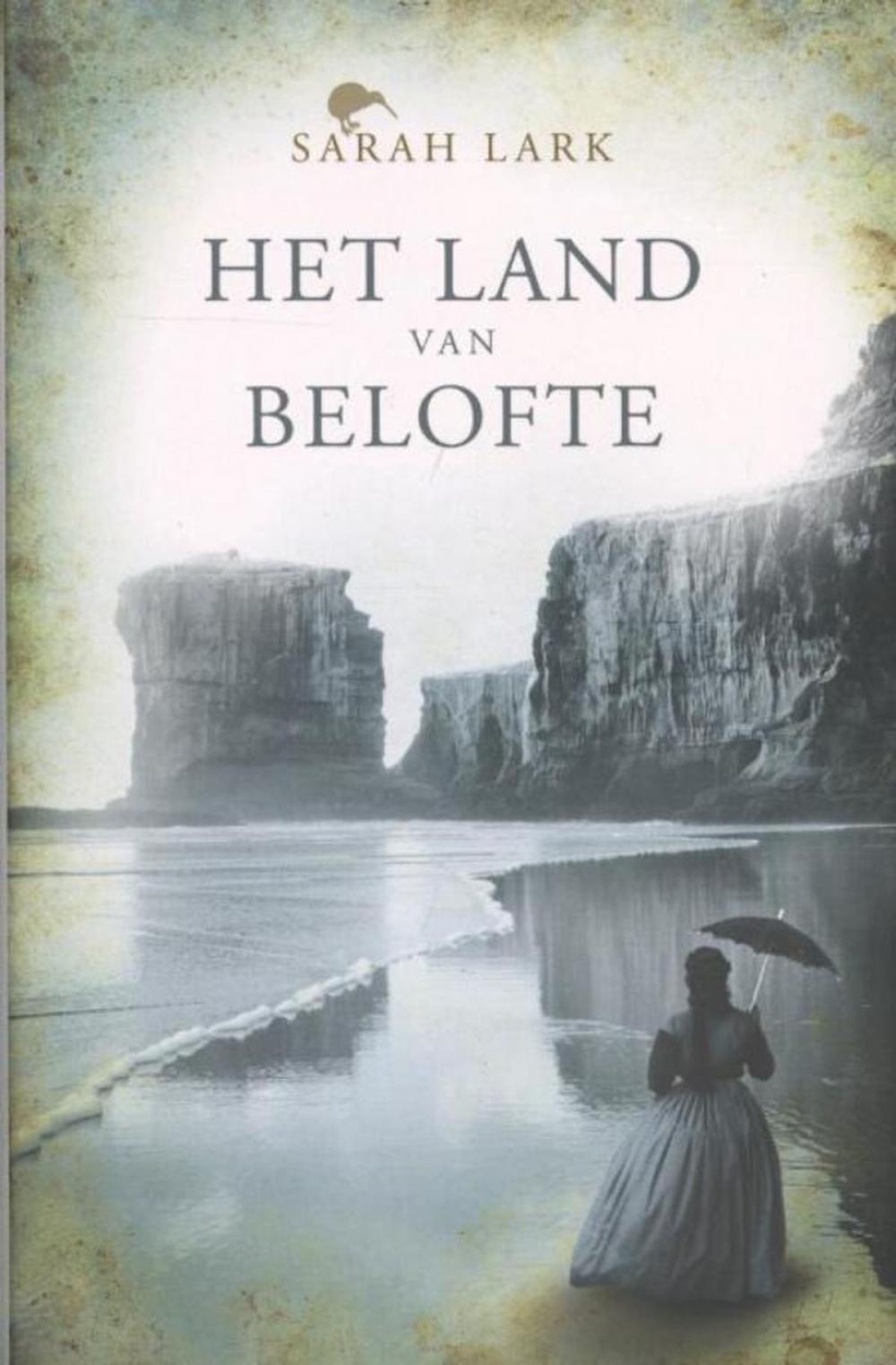 Big bigCover of Het land van belofte