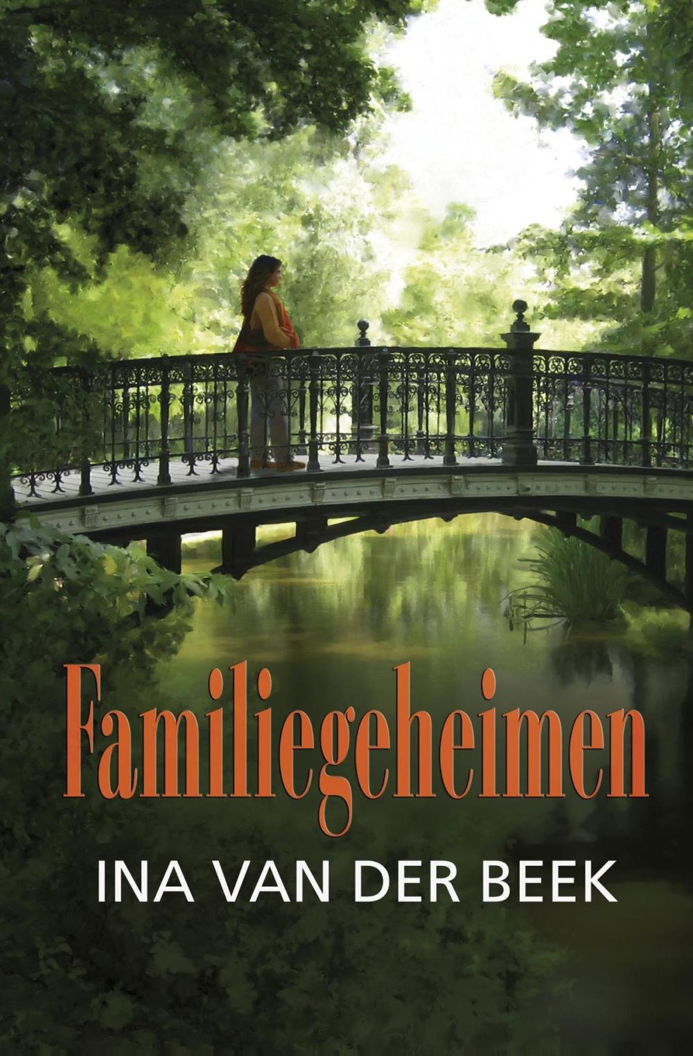 Big bigCover of Familiegeheimen