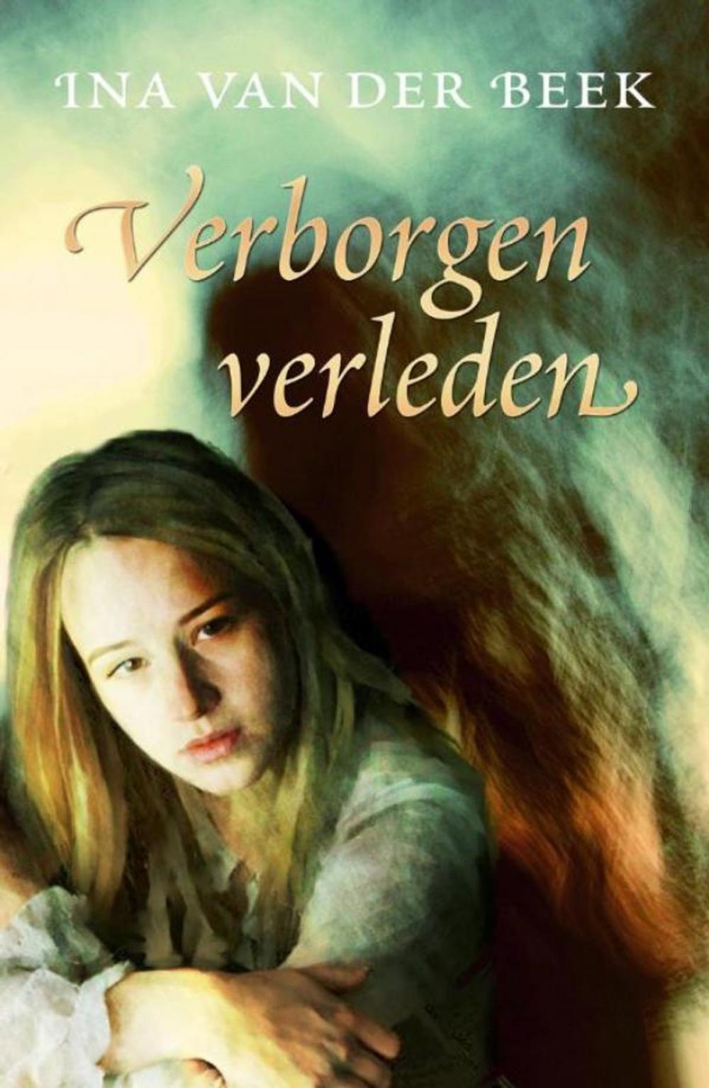 Big bigCover of Verborgen verleden