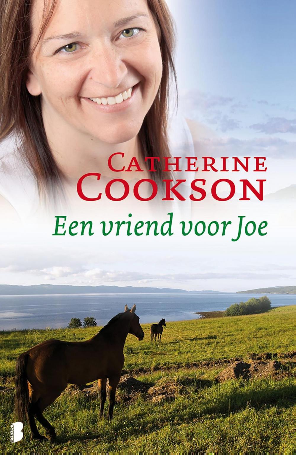 Big bigCover of Een vriend voor Joe