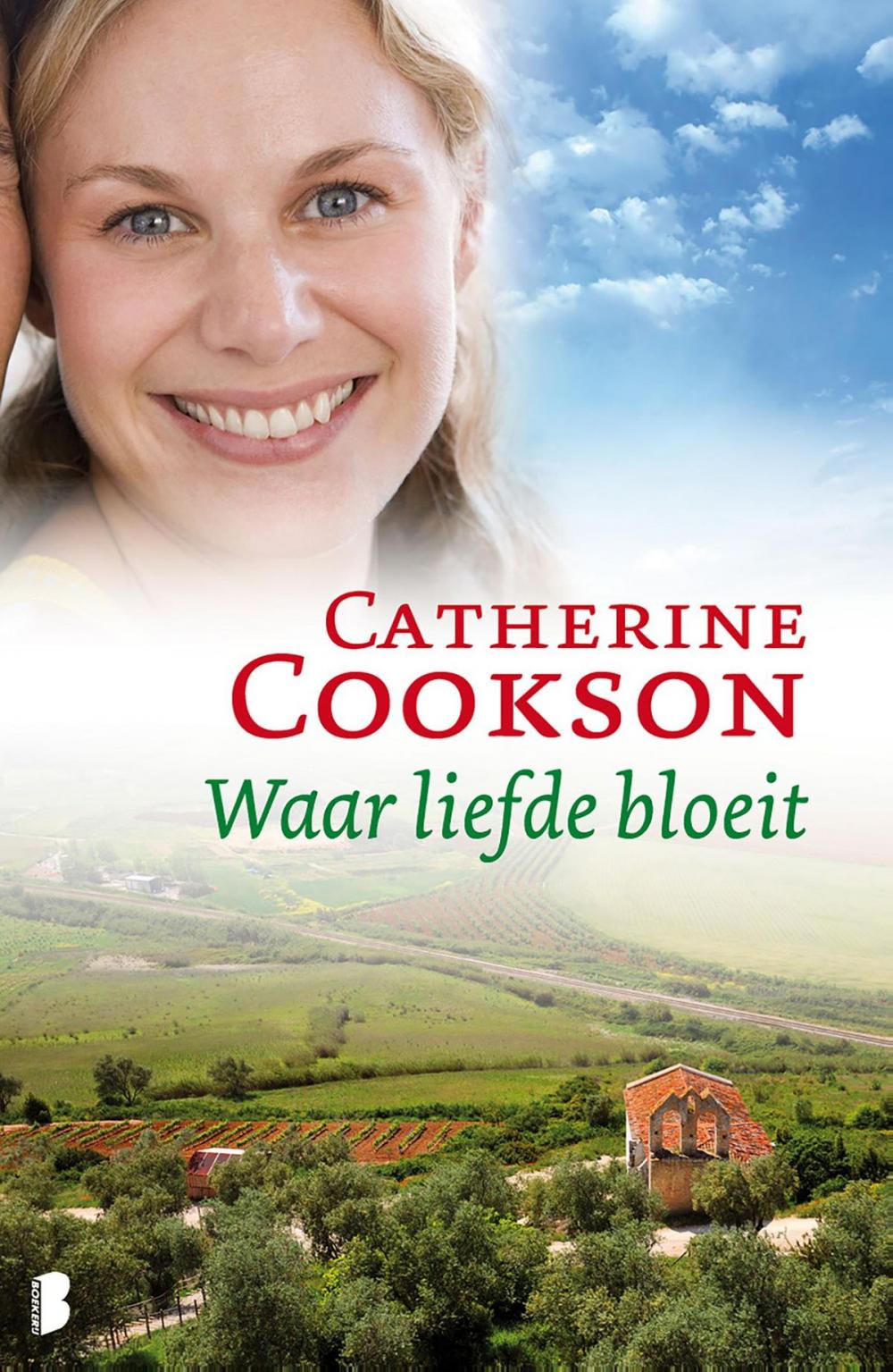 Big bigCover of Waar liefde bloeit