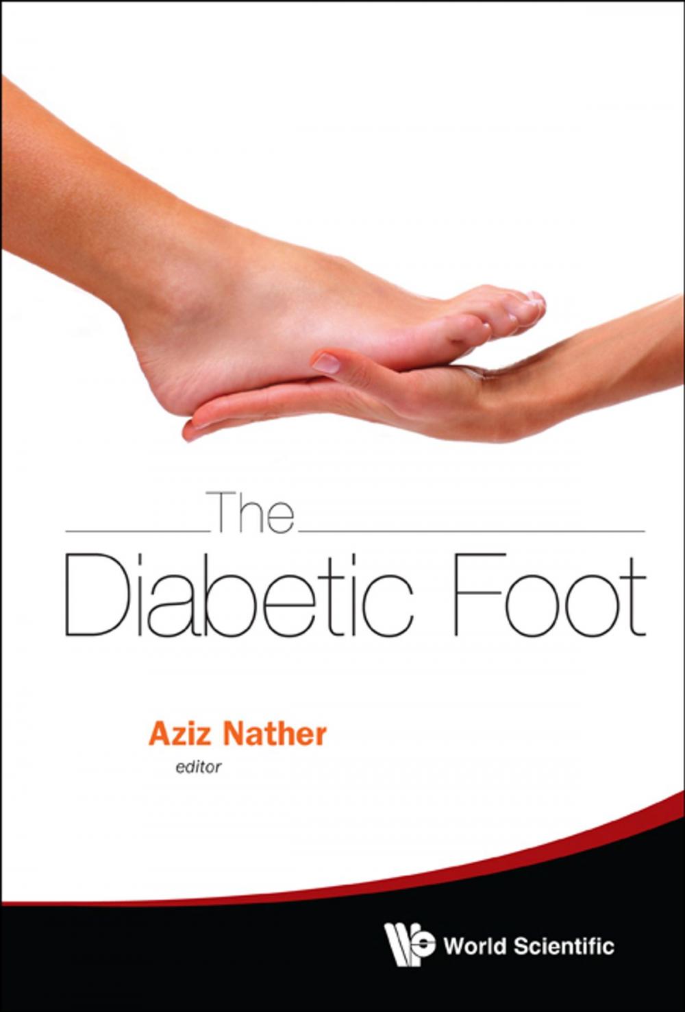 Big bigCover of The Diabetic Foot