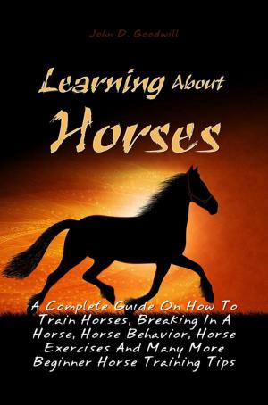 bigCover of the book Learning About Horses by 