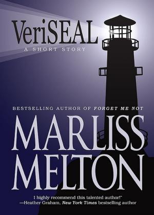 Cover of the book VeriSEAL by KS Weachter