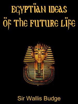 Cover of the book Egyptian Ideas Of The Future Life by Reynold Alleyne Nicholson