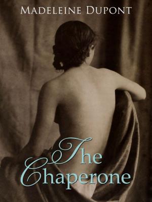 Cover of the book The Chaperone by N. M. C.