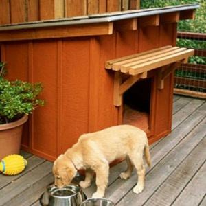 Book cover of How to Build a Dog House