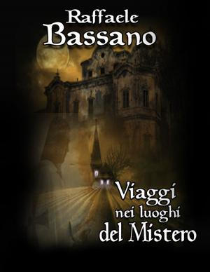Cover of the book Viaggi nei luoghi del mistero by John Jarvis