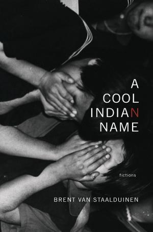 Cover of A Cool Indian Name