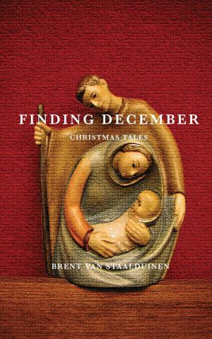 Cover of Finding December
