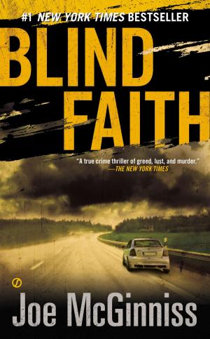 Cover of the book Blind Faith by Brandy Faith Weld