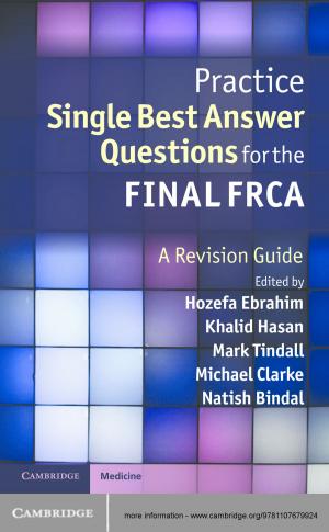 Cover of the book Practice Single Best Answer Questions for the Final FRCA by Uwe P. Gielen, Sunghun Kim