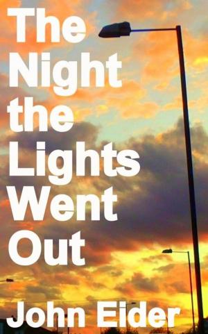 Cover of the book The Night the Lights Went Out by Melanie Tomlin