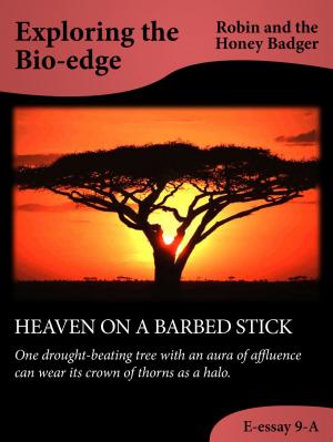 Book cover of Heaven On A Barbed Stick