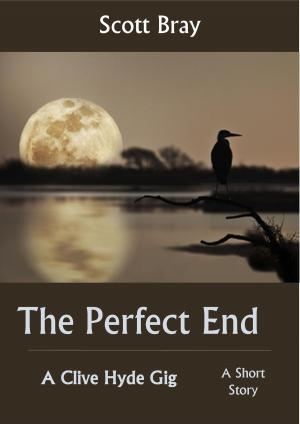 Cover of the book The Perfect End by Rick L. Phillips