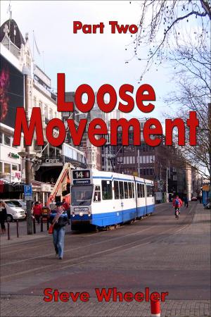 Cover of the book Loose Movement Part 2 by Ali Sethi
