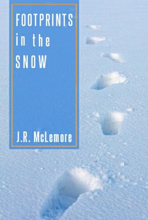 Cover of the book Footprints in the Snow by RJ Dale