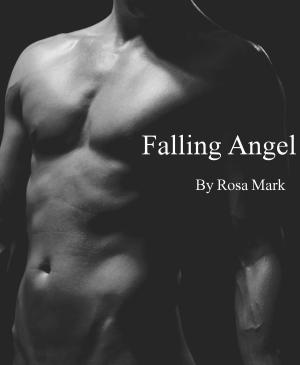 bigCover of the book Falling Angel by 
