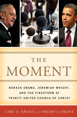 Cover of the book The Moment by Paul Sonnino