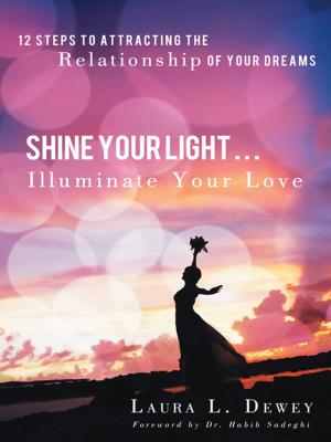 Book cover of Shine Your Light … Illuminate Your Love