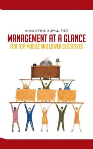 Cover of the book Management at a Glance by David Frankel