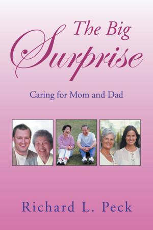 Book cover of The Big Surprise