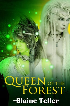 Cover of the book Queen of the Forest by J.K. Norry
