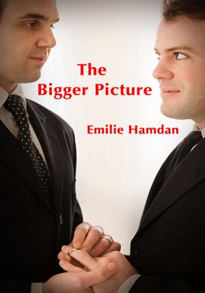 Book cover of The Bigger Picture