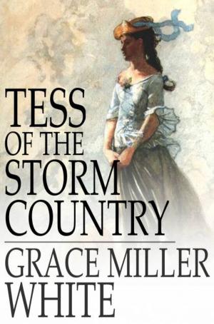 Cover of the book Tess of the Storm Country by William Mathis