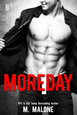 bigCover of the book One More Day (A Sexy Standalone Contemporary Romance) by 