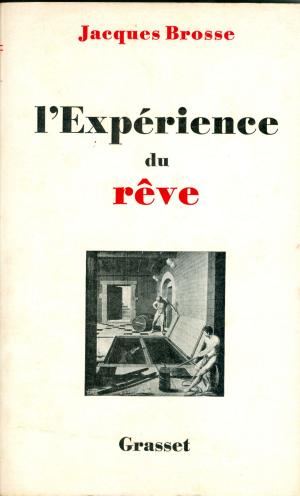 Cover of the book L'expérience du rêve by Raymond Radiguet