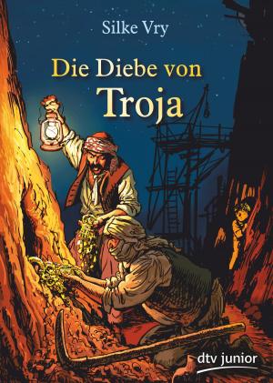 Cover of the book Die Diebe von Troja by Andreas Schlüter, Irene Margil
