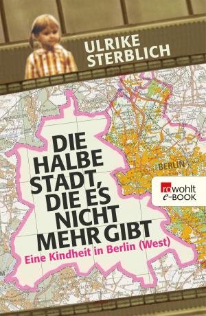 Cover of the book Die halbe Stadt, die es nicht mehr gibt by Sven Stricker