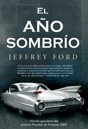 Cover of the book El año sombrío by Jeff Vandermeer