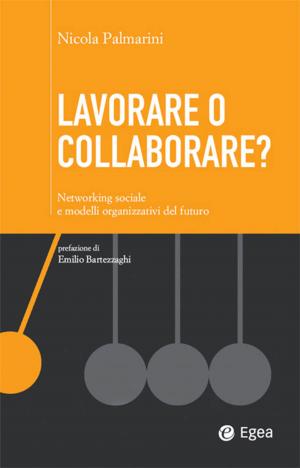 Cover of the book Lavorare o collaborare? by Andrea Colli, Elisabetta Merlo