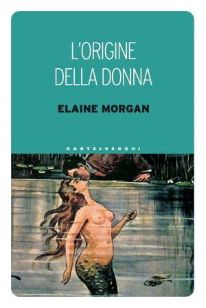 Book cover of L'origine della donna
