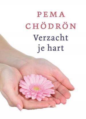 Cover of the book Verzacht je hart by Stephan de Jong