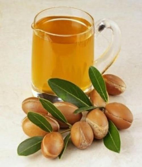 Cover of the book The Essential Guide to Argan Oil Benefits and Uses by John Evan, Axel Publishing