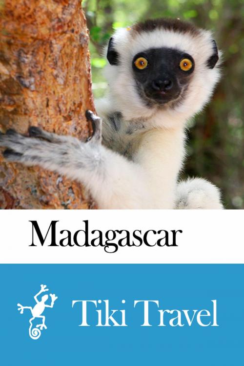 Cover of the book Madagascar Travel Guide - Tiki Travel by Tiki Travel, Tiki Travel