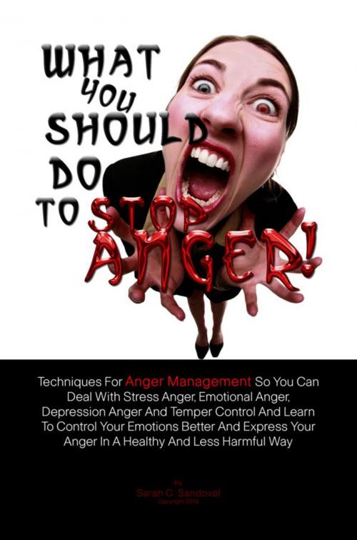 Cover of the book What You Should Do To Stop Anger! by Sarah C. Sandoval, KMS Publishing