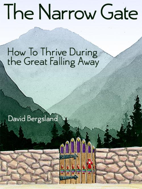 Cover of the book The Narrow Gate by David Bergsland, Radiqx Press