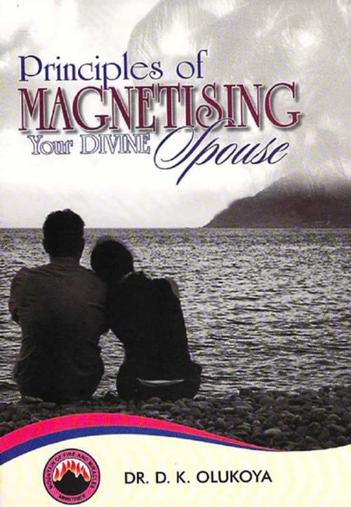 Cover of the book Principles of Magnetising Your Divine Spouse by Dr. D. K. Olukoya, mfm