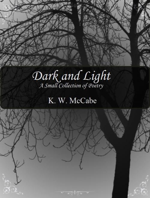 Cover of the book Dark and Light by K.W. McCabe, FantaFire Press