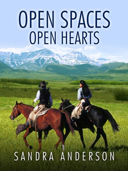 Cover of the book Open Spaces Open Hearts by Sandra Anderson, Sandra F. Anderson