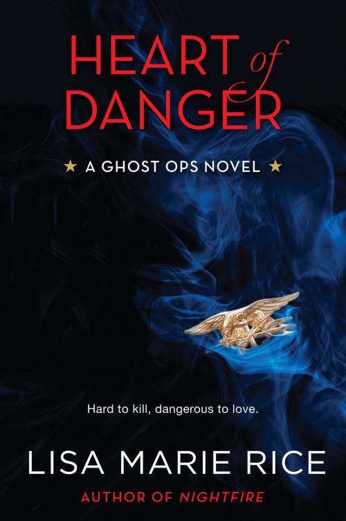 Cover of the book Heart of Danger by Lisa Marie Rice, William Morrow Paperbacks