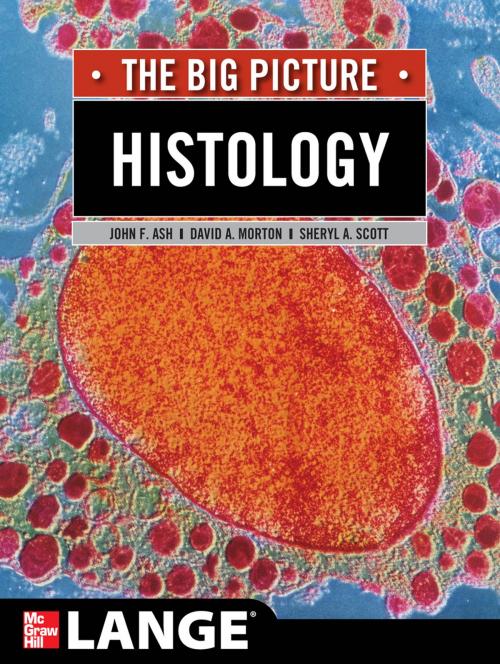 Cover of the book Histology: The Big Picture by Sheryl A. Scott, John F. Ash, David A. Morton, McGraw-Hill Education